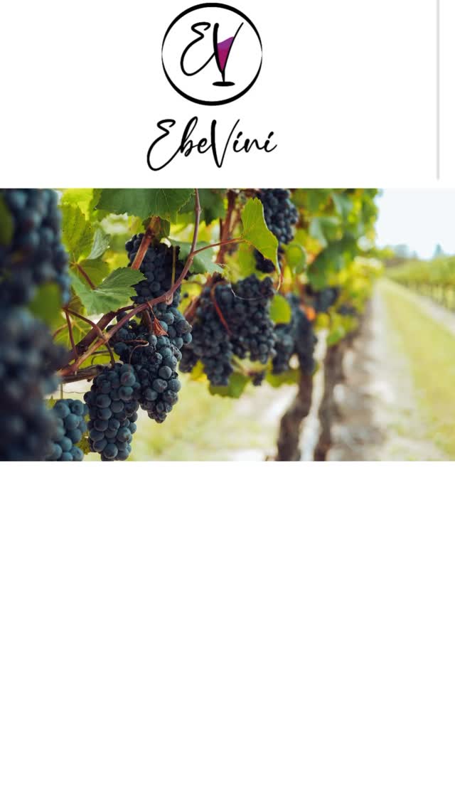 #montepulcianodabruzzo #inofferta